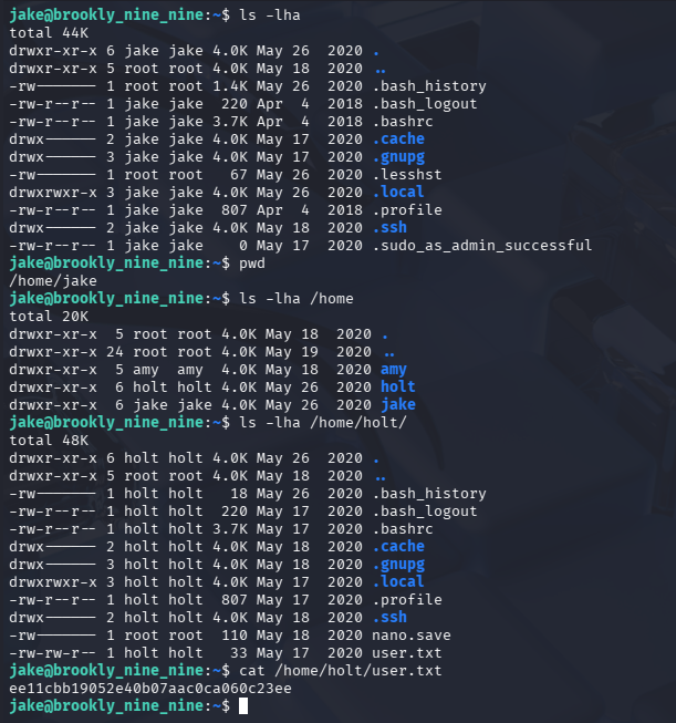 Lectura de user.txt